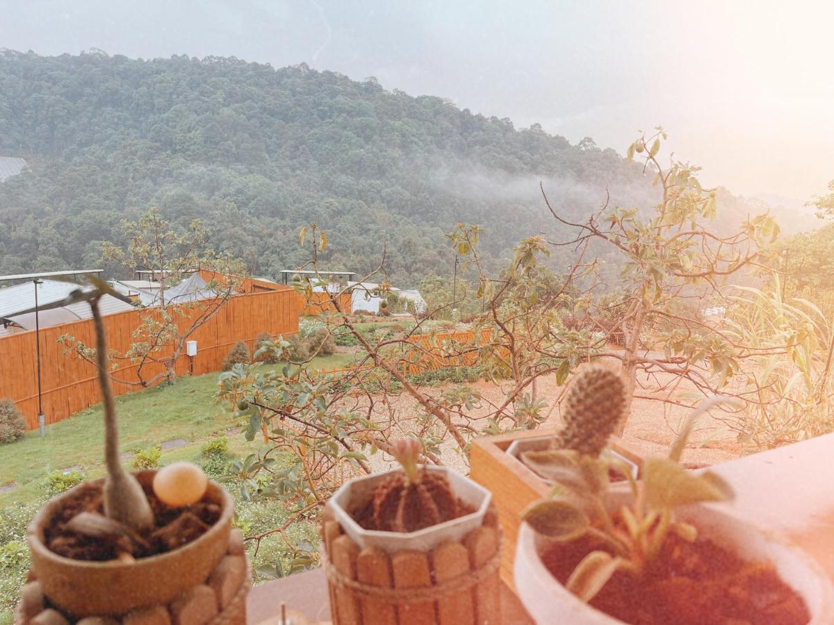 Phu Morinn Camping ม่อนแจ่ม Mon Jam 外观 照片